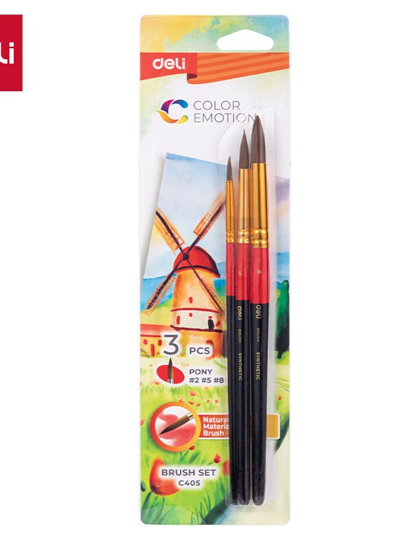 ديلي مجموعة فرشاة رسم - 5 قطع - رأس مبروم - EC406