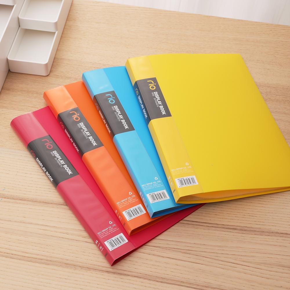ديلي مصنف كتاب - 40 صفحة - قياس A4 - ألوان نيون (أزرق/ أحمر/ أخضر/ أصفر/ برتقالي) - E5034