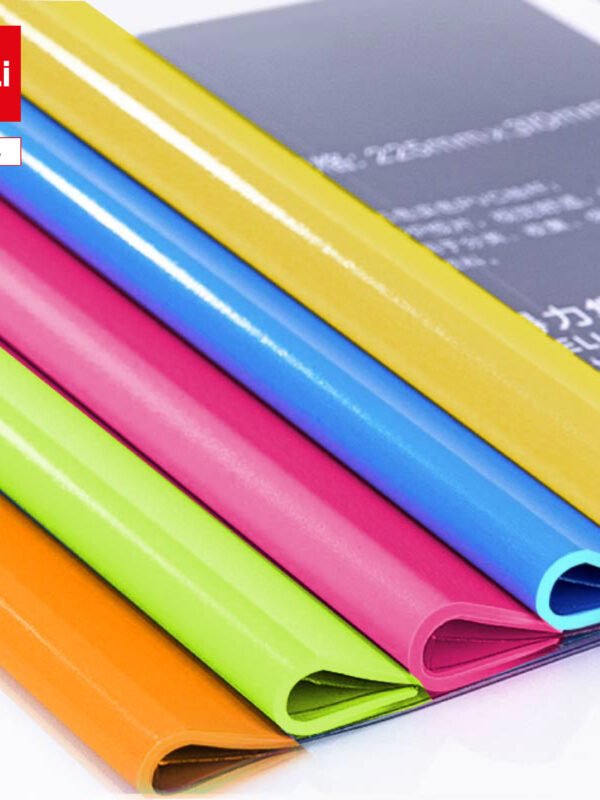 E5538 ديلي مصنف عظمة - قياس A4 - غلاف شفاف - ألوان مختلفة E5538