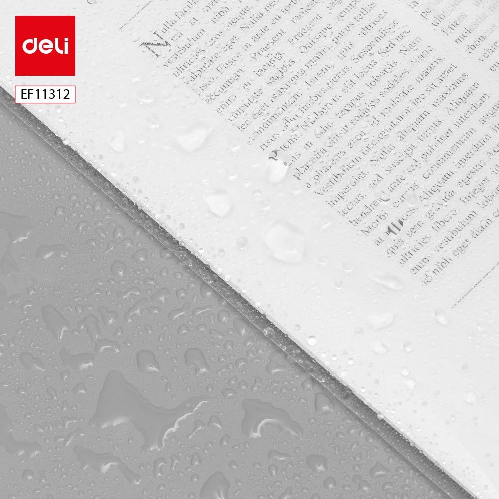 ديلي مصنف كبسة - قياس FC - شفاف - EF11312