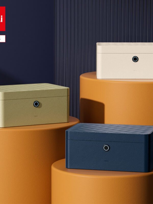 ديلي صندوق مجوهرات منجد جلد - حماية (بصمة-مفتاح) - 15*33*22 سم - أبيض/كحلي - AE205