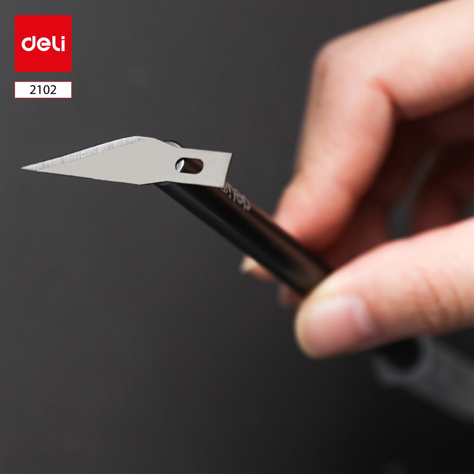 E2102 5 (3) ديلي سكين نحت - الطول: 148 مم، 10 شفرات - فضي، رمادي - E2102