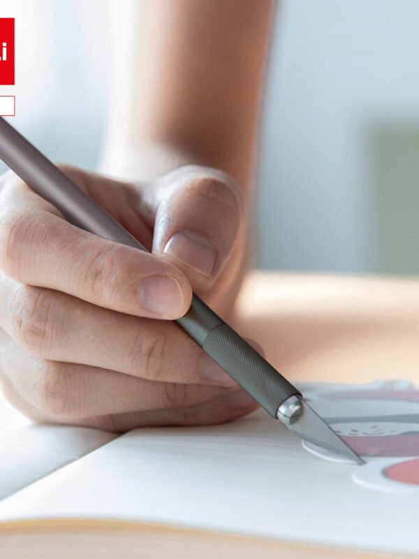 ديلي سكين نحت - الطول: 148 مم، 10 شفرات - فضي، رمادي - E2102