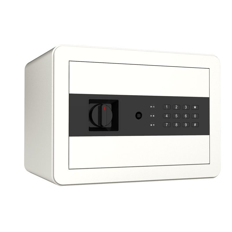 ديلي خزنة معدنية - حماية (أرقام -مفتاح) - 9.2 كغ - 25*35*25 سم - أبيض/ أسود - E27209