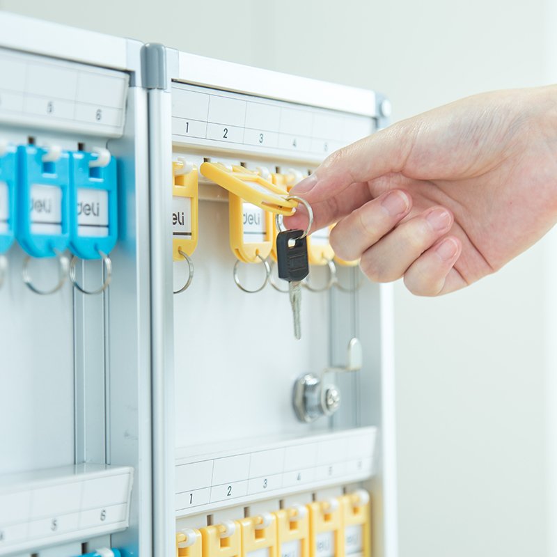 E50803 (2) ديلي خزانة مفاتيح 120 خانة - 398*63*782 مم - فضي - 50803