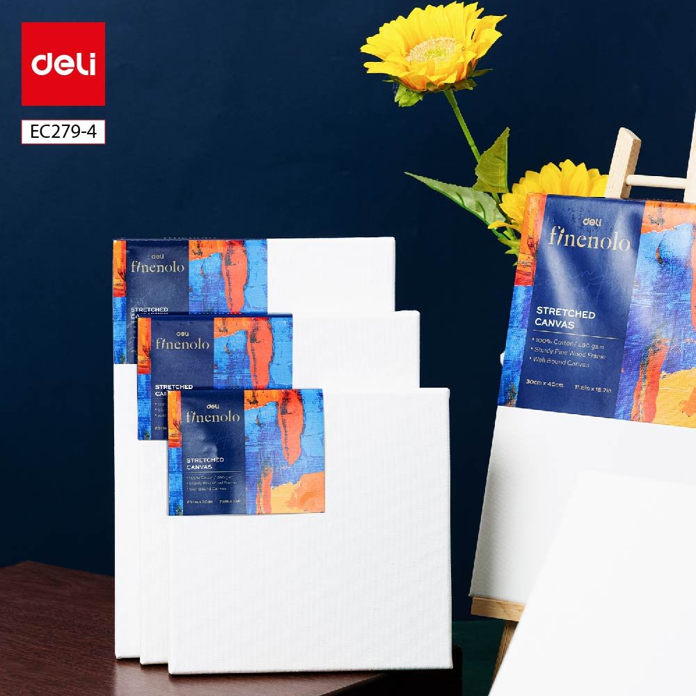EC279-4 (6) ديلي لوحة كانفاس مشدودة على إطار خشب - قياس 25*20 سم - 100% قطن - أبيض - EC279-4
