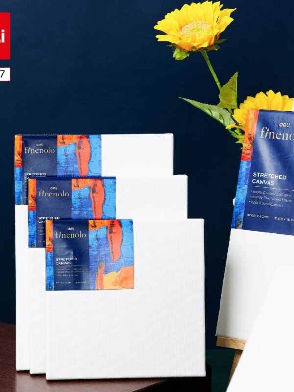 EC279-7 (6) ديلي لوحة كانفاس مشدودة على إطار خشب - قياس 40*30 سم - 100% قطن - أبيض - EC279-7