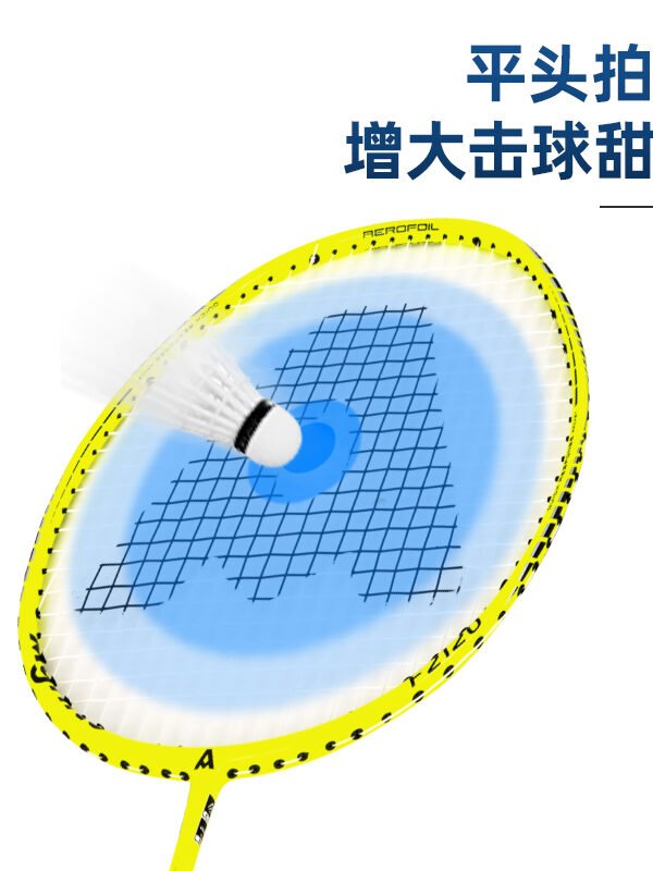 F2120 (4) ديلي مجموعة مضرب تنس الريشة - مجموعة 2 مضرب مع ملحقات - كربون - ألوان مختلفة - F2120