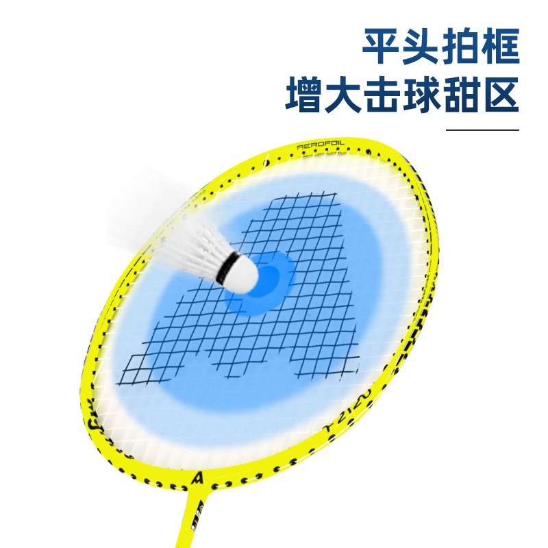 ديلي مجموعة مضرب تنس الريشة - مجموعة 2 مضرب مع ملحقات - كربون - ألوان مختلفة - F2120
