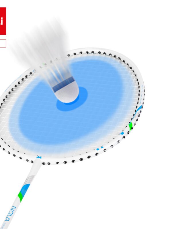 ديلي مضرب تنس الريشة - مجموعة 2 مضرب مع ملحقات - معدن - المقاس: 670 ± 2 مم - أزرق أبيض + زهر أبيض - ER311