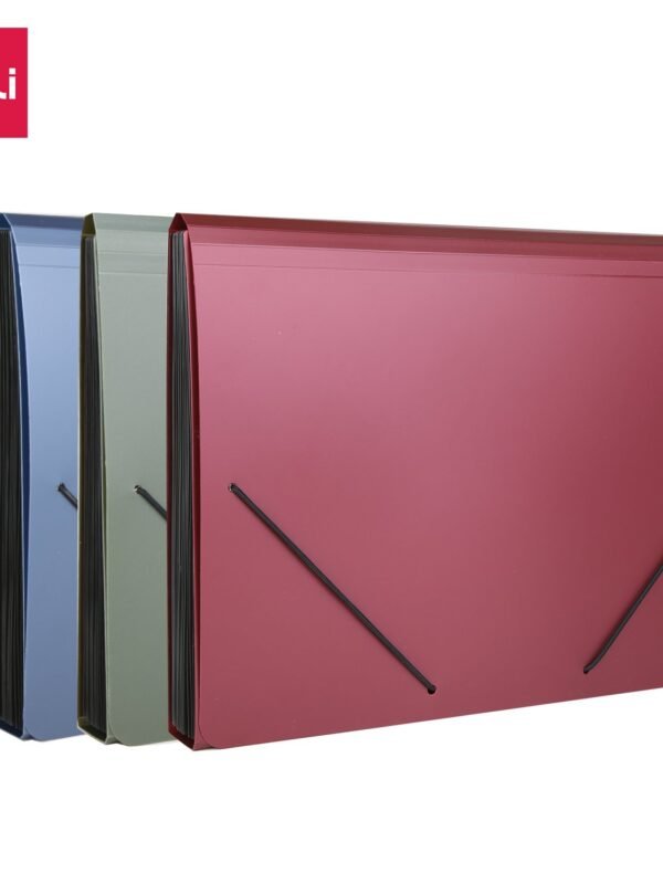 E5551 (4) ديلي مصنف أقسام - 13 قسم - قياس A4 - إغلاق بمطاط - ألوان مختلفة - E5551