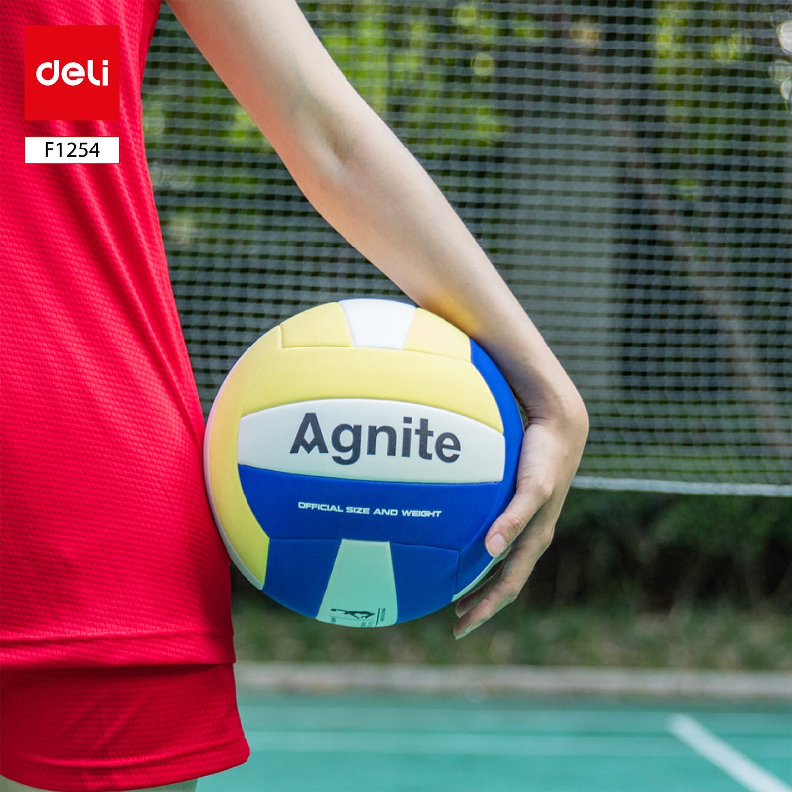 ديلي كرة طائرة - نمرة 5 - ألوان مختلفة - F1254