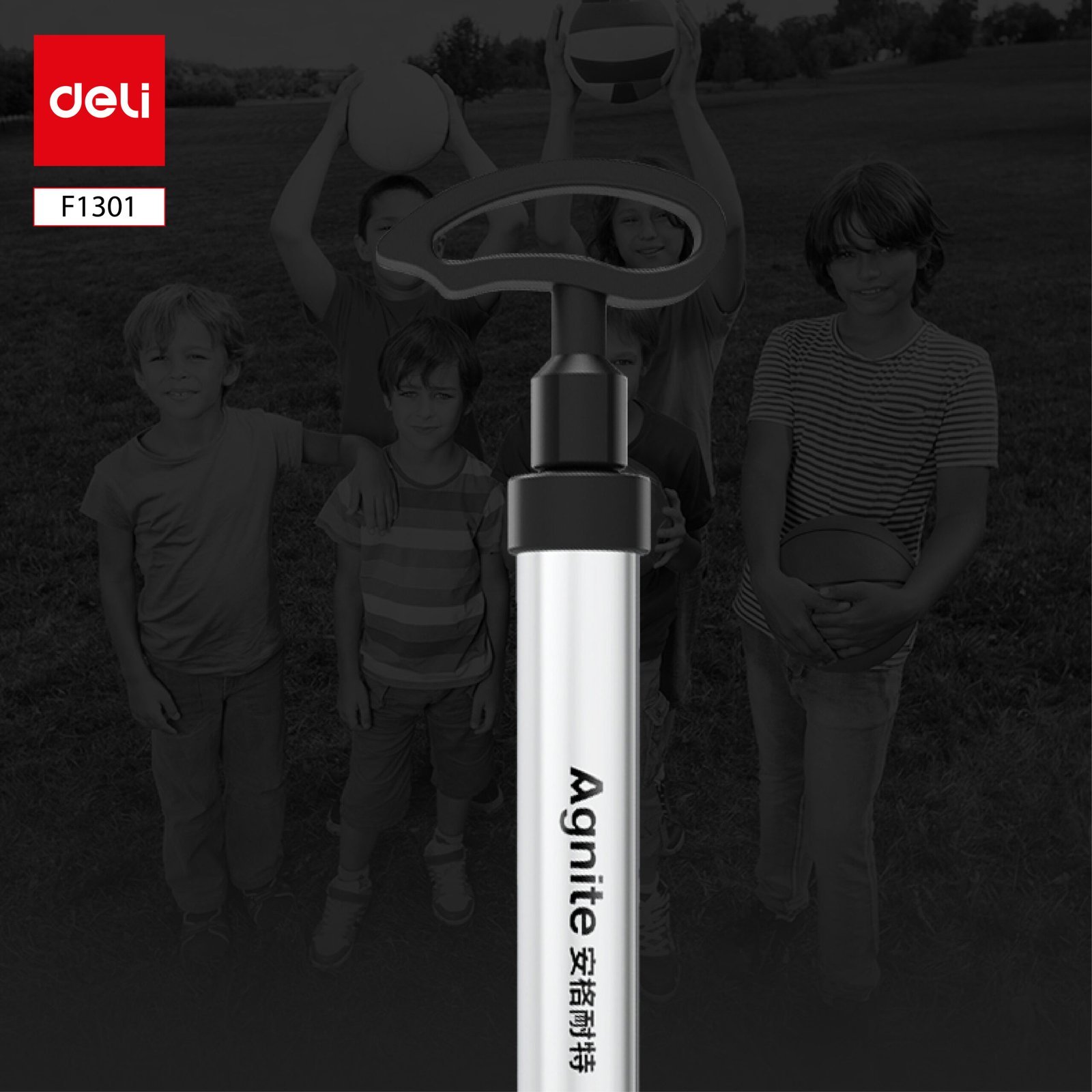 ديلي منفاخ هواء يدوي محمول - ألمنيوم - أسود + فضي - F1301