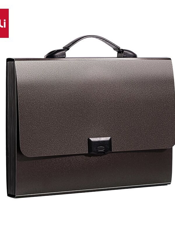 PM102 (3) ديلي مصنف أقسام - 13 قسم - قياس A4 - مع مسكة - إغلاق بقفل - بني - PM102