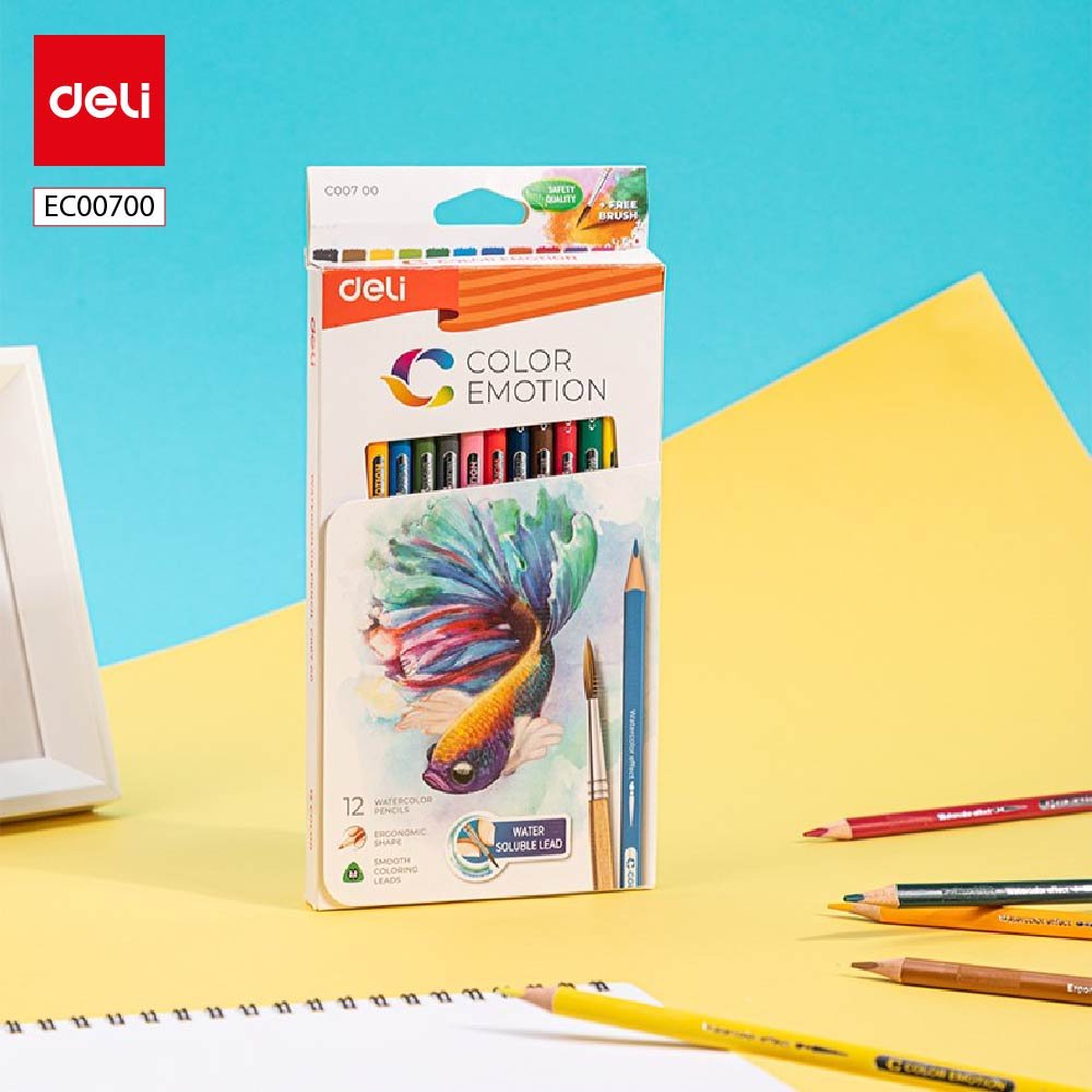 ديلي أقلام تلوين خشبي مائي طويل - 12 لون - EC00700